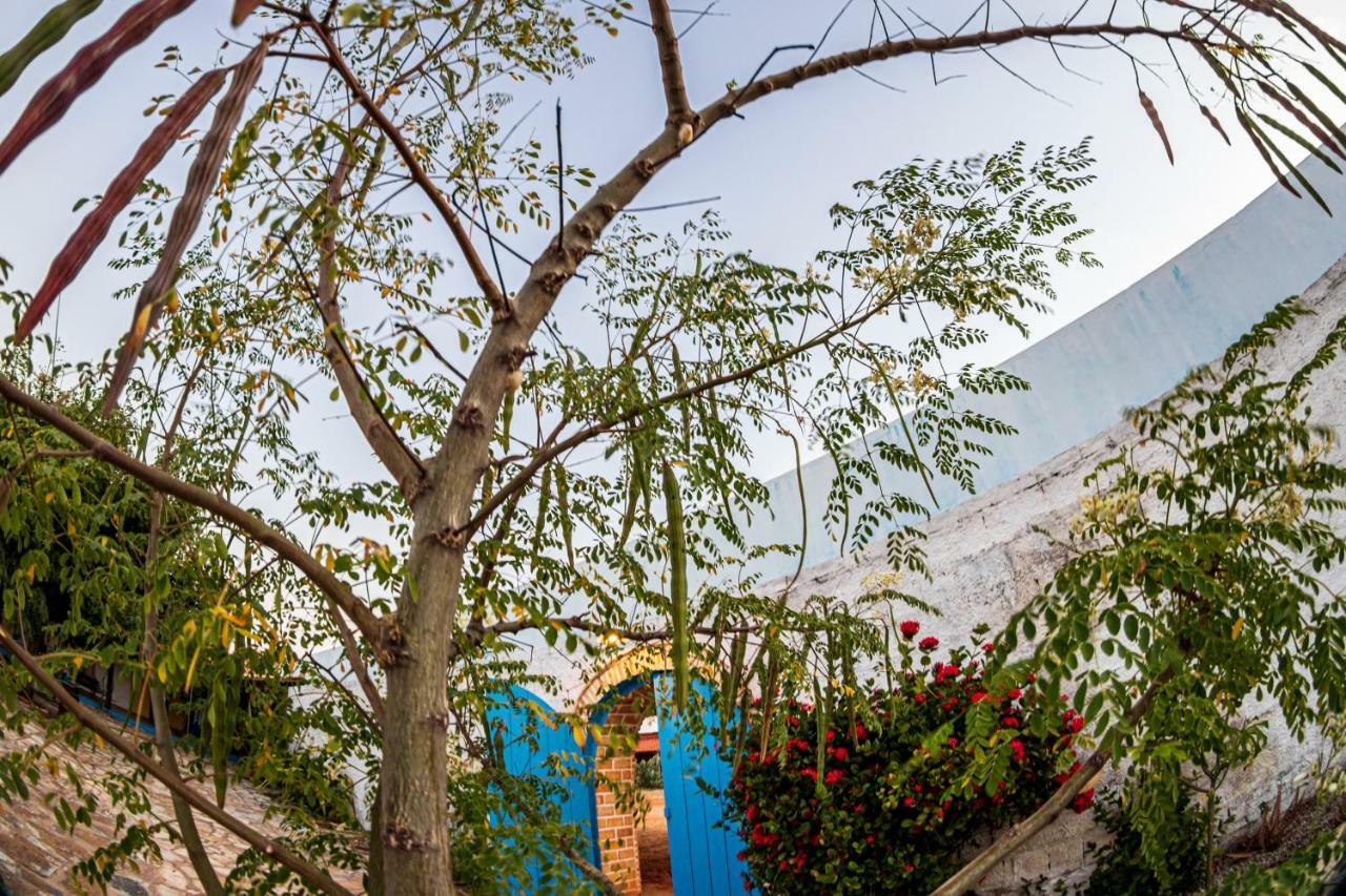 Icapuí Pousada E Restaurante Tremembe מראה חיצוני תמונה